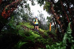 BIB: 
                            <button type="button" onclick="openModal(26205546)" class="btn btn-primary btn-sm float-right btn-popup" data-toggle="modal" data-target=".modal-high-quality">
                        <i class="fas fa-shopping-cart"></i> Add to Cart
                    </button>
                                            <button type="button" onclick="isThisMe(26205546, true)" class="btn btn-success btn-sm float-right btn-popup btn-isme hidden" data-toggle="tooltip" data-placement="bottom" title="นี่คือรูปของคุณใช่ไหม คลิกที่นี่เพื่อเอาเข้าอัลบั้ม">
                        <i class="fas fa-plus"></i> Add to album
                    </button>
                    <button type="button" onclick="isThisMe(26205546, false)" class="btn btn-warning btn-sm float-right btn-popup btn-isnotme hidden">
                        <i class="fas fa-ban"></i> Remove from album
                    </button>